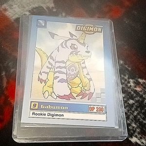 Pokemon Card